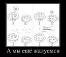 Юрій Боднарчук фотография #46 (источник - https://vk.com/id50533611)