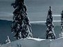 Антоніна Бандуровська фотография #3 (источник - https://vk.com/id155876698)
