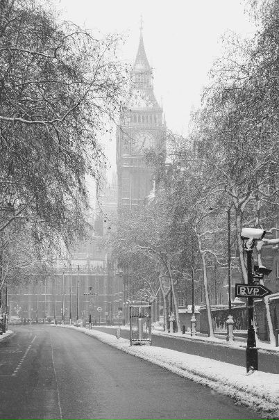 Лера Митина фото №41