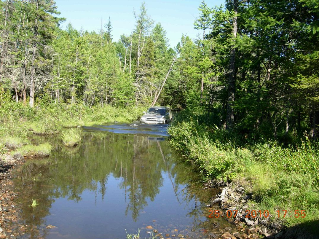 Катя Давыдова фотография #22