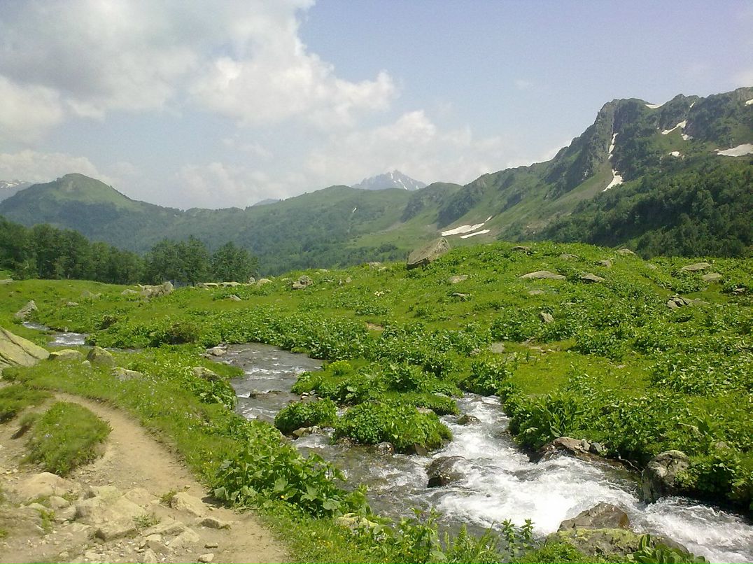 Igor Igor фотография #28