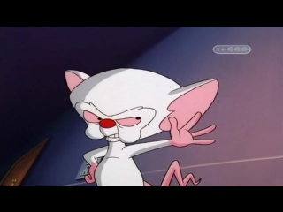 Пинки и Брейн (4 Сезон 1 Серия)