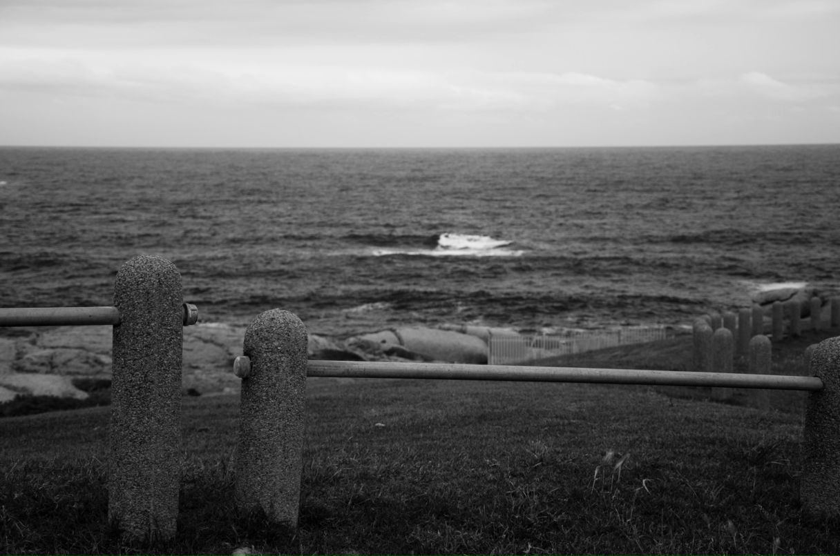 Артем Панченко фотография #50