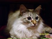 Фотография Журавлевой Елены