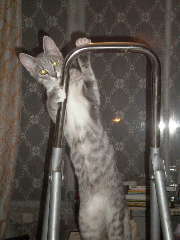 Эва Лаас фотография #12