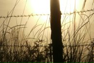 Фотография Смирновой Марии