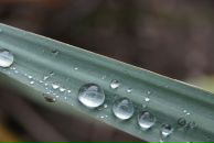 Фотография Плоскости Весны