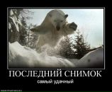 Андрей Лермонтов фотография #22 (источник - https://vk.com/id3879905)