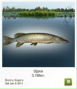 Андрій Жадан фотография #42 (источник - https://vk.com/id24173571)