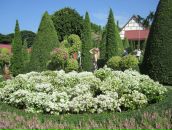 Фотография Якунчихиной Елены