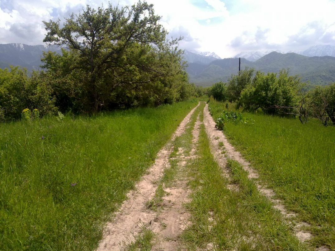 Sergey Apenko фотография #28