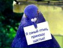 Хіна Вионг фотография #7 (источник - https://vk.com/id175075178)