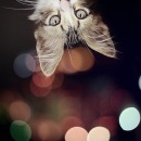 Фотография Цивинской Евгении