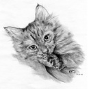 Фотография Ихсановой Эли