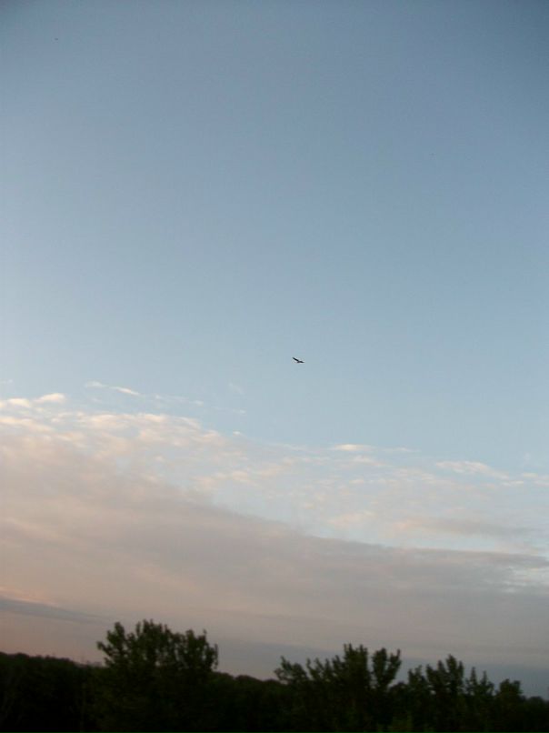 Bitnick Bitnick фотография #27