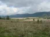 Віта Поліщук фотография #5 (источник - https://vk.com/id62301313)