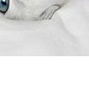 Сірожа Стицюк фотография #29 (источник - https://vk.com/id133380888)