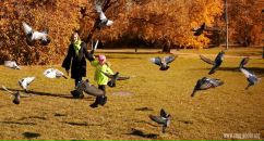 Фотография Бондаренко Елизаветы