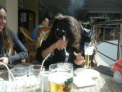 Іванка Павенська фотография #47 (источник - https://vk.com/id89168543)