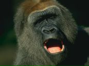 Андрій Твердий фотография #6 (источник - https://vk.com/id45360805)