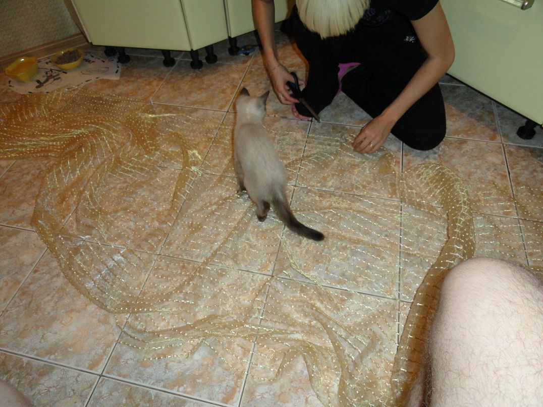 Стас Олейник фотография #24