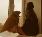 Фотография Тамерлан Анастасии