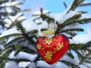 Вікуська Вікуська фотография #36 (источник - https://vk.com/id65640981)