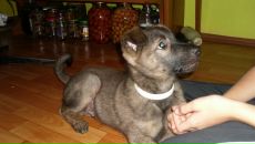 Иван Савков фотография #33 (источник - https://vk.com/id3238041)