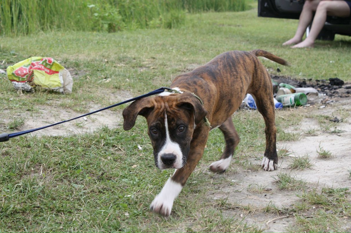 Кирилл Митяев фотография #20