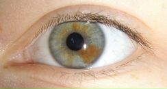 Фотография Одинцовой Марианы