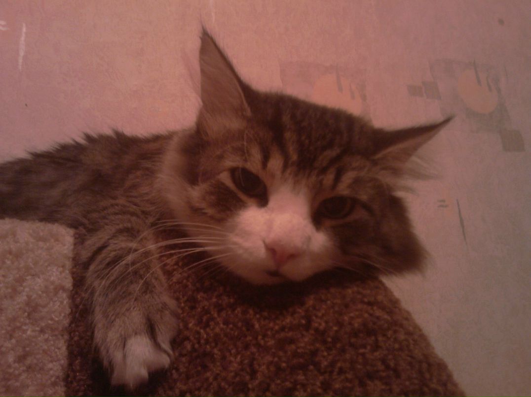 Михаил Филиппов фотография #43