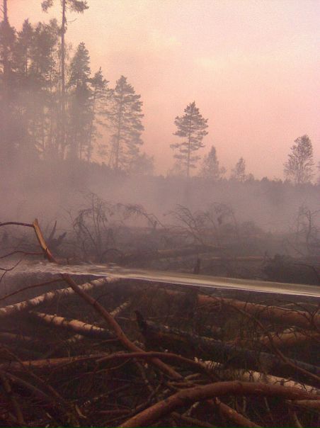 Иван Волков фото №15