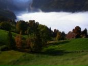 Фотография Гречушниковой Елены