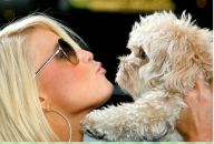 Фотография Соловьёвой-Нечаевой Ирины