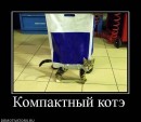 N[i]ki Baby фотография #19 (источник - https://vk.com/id66662499)