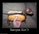 N[i]ki Baby фотография #38 (источник - https://vk.com/id66662499)
