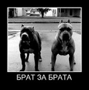 Віталік Блохін фотография #16 (источник - https://vk.com/id124273032)