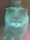 Фотография Алексей Носов