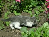 Фотография Байгуловой Регины