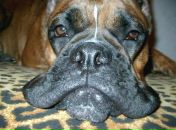 Фотография Трушина Алексея