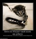 Фотография Зенцовой Яны