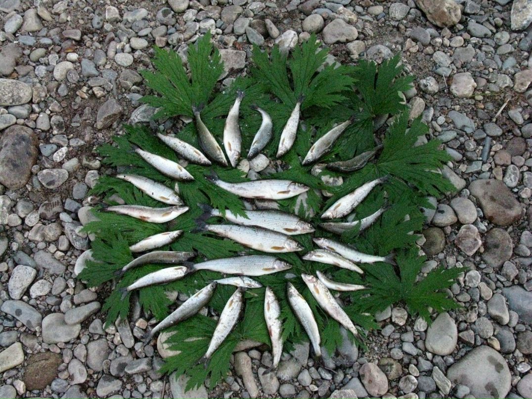 Богдан Балыков фотография #44