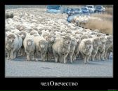 Дмитрий Козлов фотография #41 (источник - https://vk.com/id2851905)