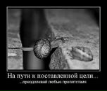 Даша_ Smile_in_rain фотография #40 (источник - https://vk.com/id69800007)