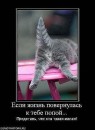 Фотография Гревцовой Алены
