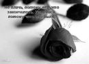 Наталія Олійник фотография #14 (источник - https://vk.com/id39628844)