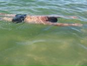 Андрій Палійчук фотография #49 (источник - https://vk.com/id79392924)