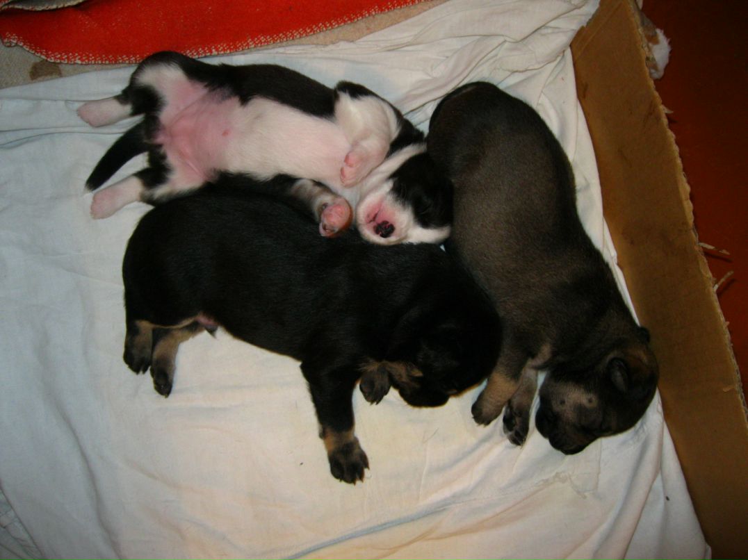 Станислав Стас фотография #37