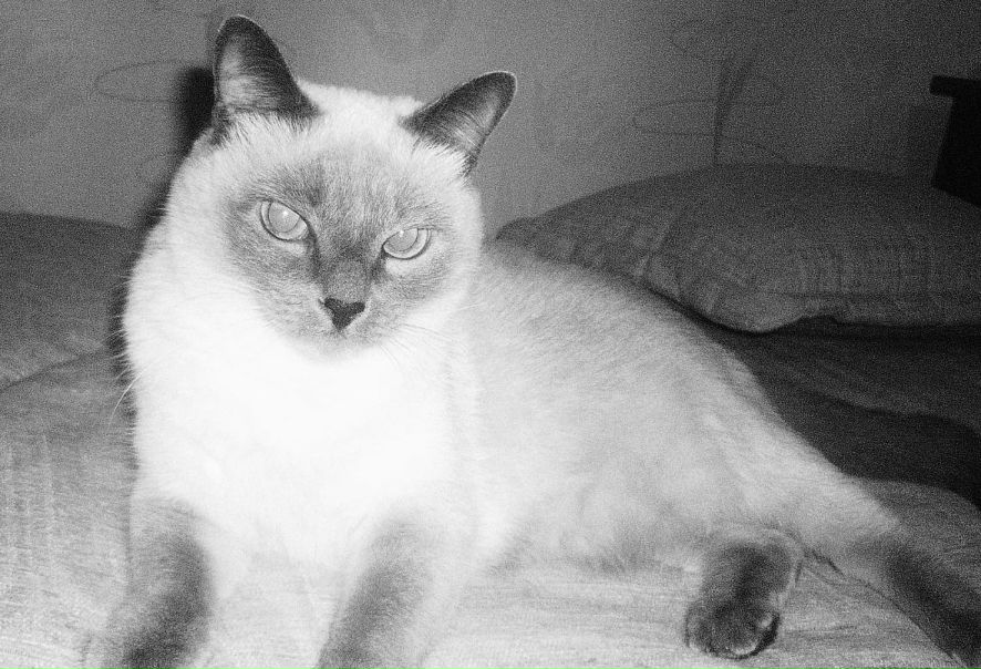 Софья Руднева фото №1