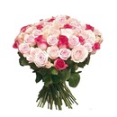 Фотография Заики Елены